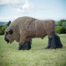 Wildcrete European Bison (Wisent)